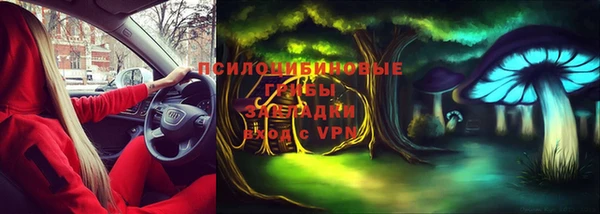 спайс Приозерск